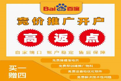 案例分享：百度推广助力企业实现多元化发展